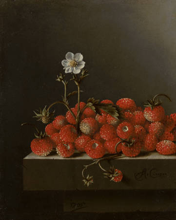 Adriaen Coorte Stilleven met bosaardbeien Still Life with Wild Strawberries
