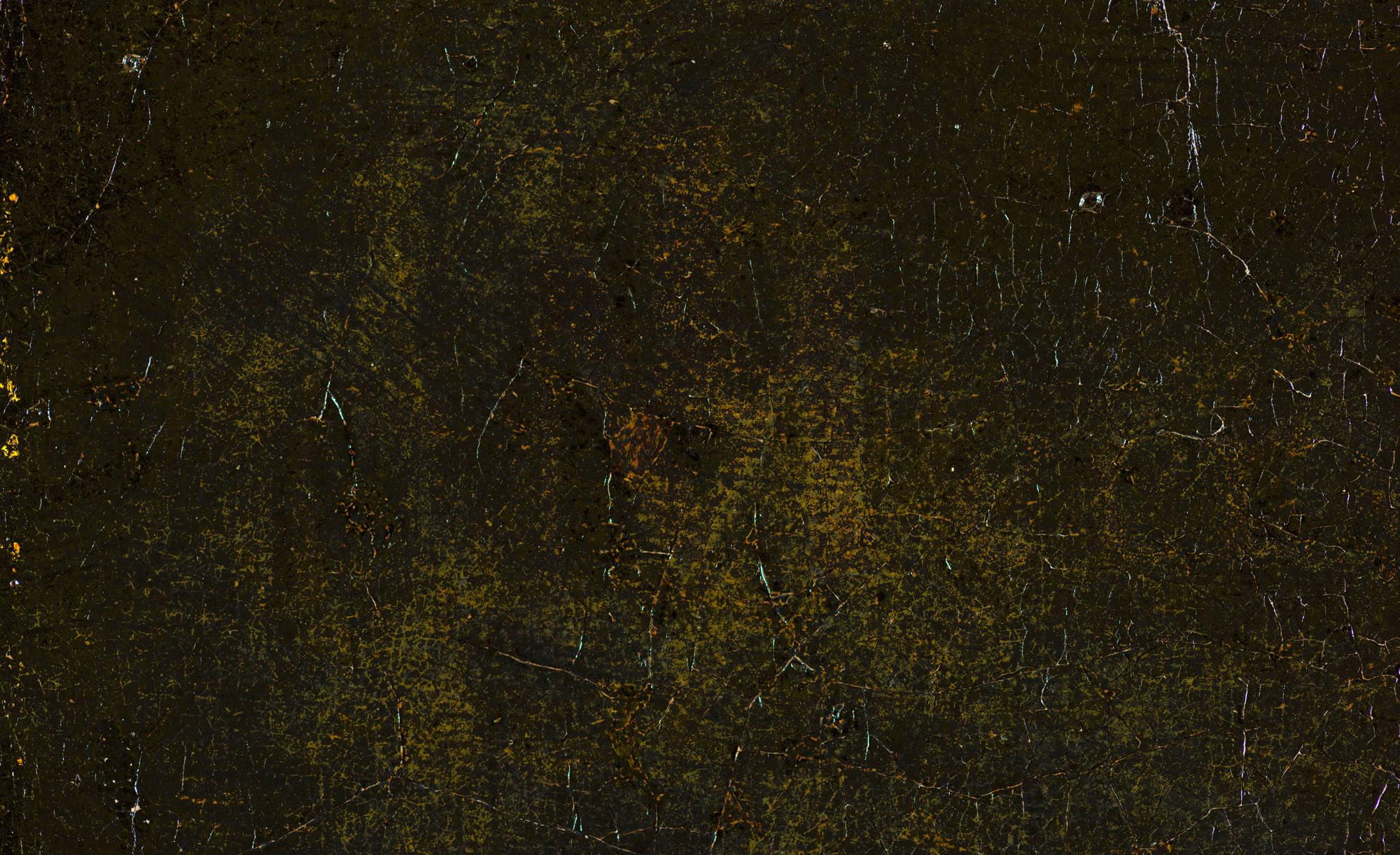 Je ziet de signatuur van schilder Johannes Vermeer op het werk Meisje met de parel. You can see the signature of painter Johannes Vermeer on the work Girl with a Pearl Earring.
