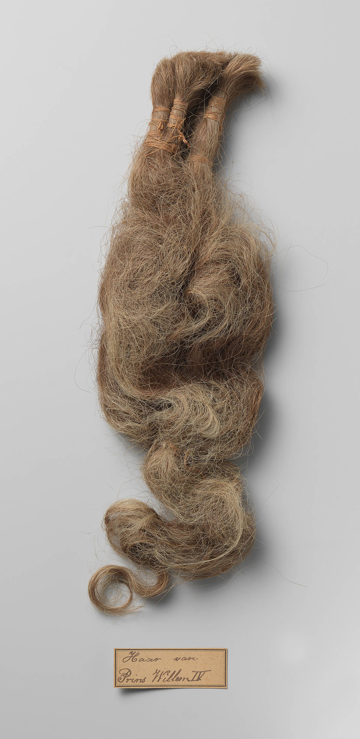 Haarvlechten van Prins Willem IV uit de tentoonstelling Het Verdwenen Museum in het Mauritshuis, Den Haag.