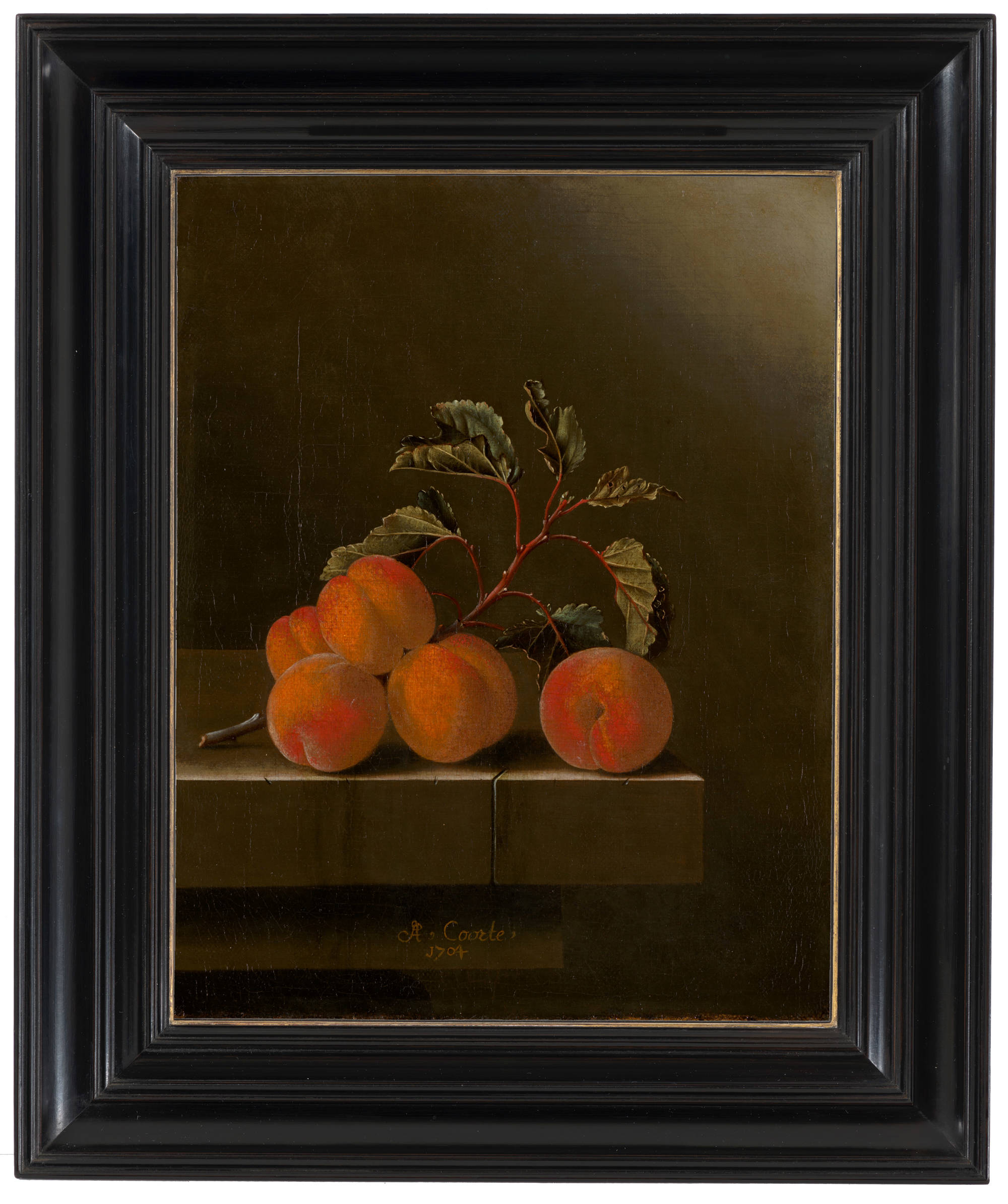 Adriaen Coorte Stilleven met vijf abrikozen Still Life with Five Apricots