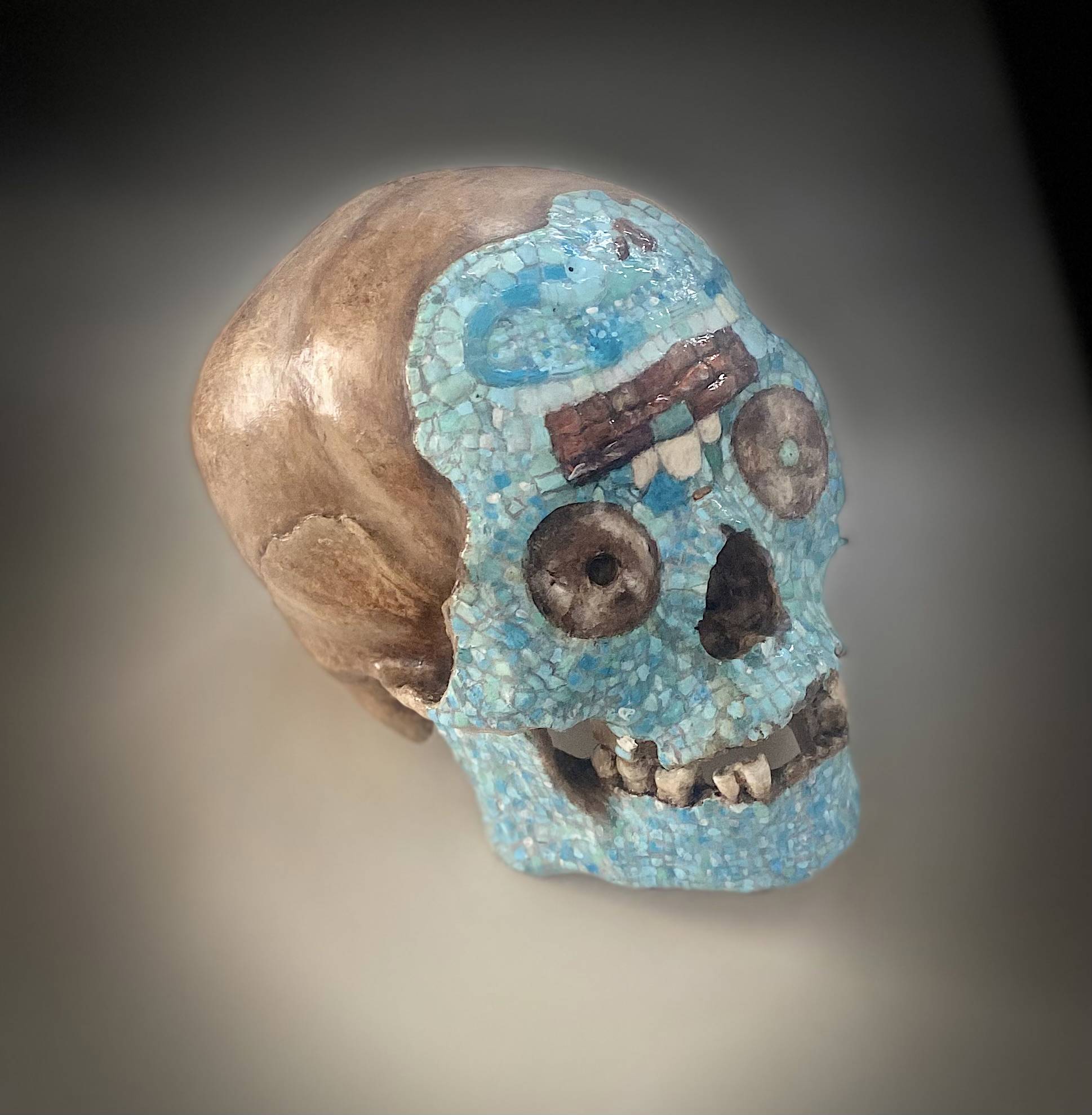 Een schedel met ingelegde blauwe mozaiek.