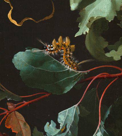 Vaas met bloemen - Twaalf verschillende insecten