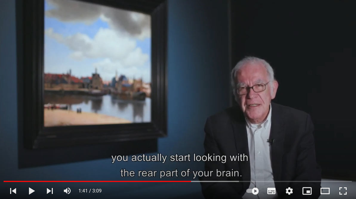 Een Youtube-still van een interview neurobioloog Dik Swaab over Gezicht op Delft.