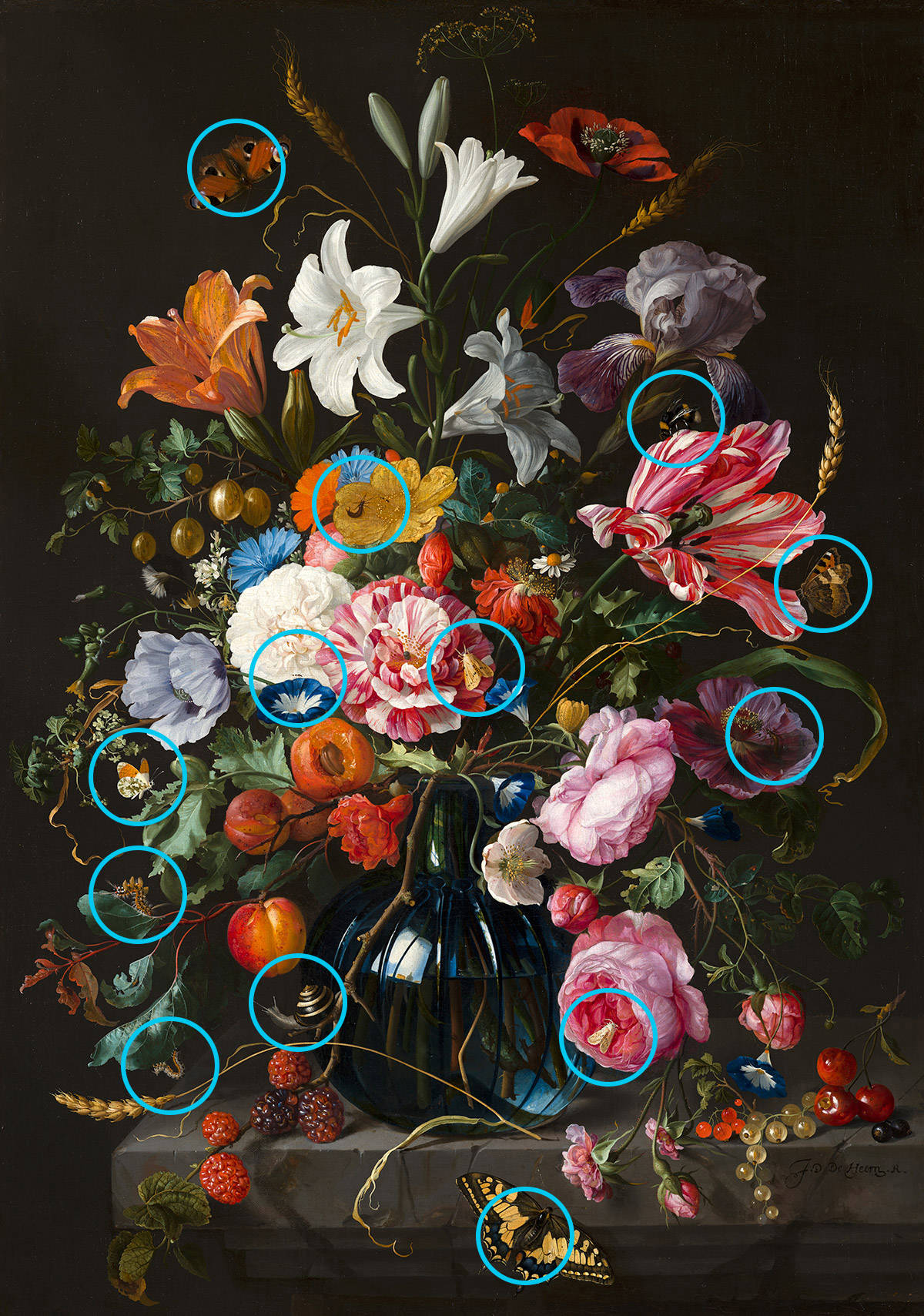 Alle kriebelbeestjes op het schilderij van De Heem