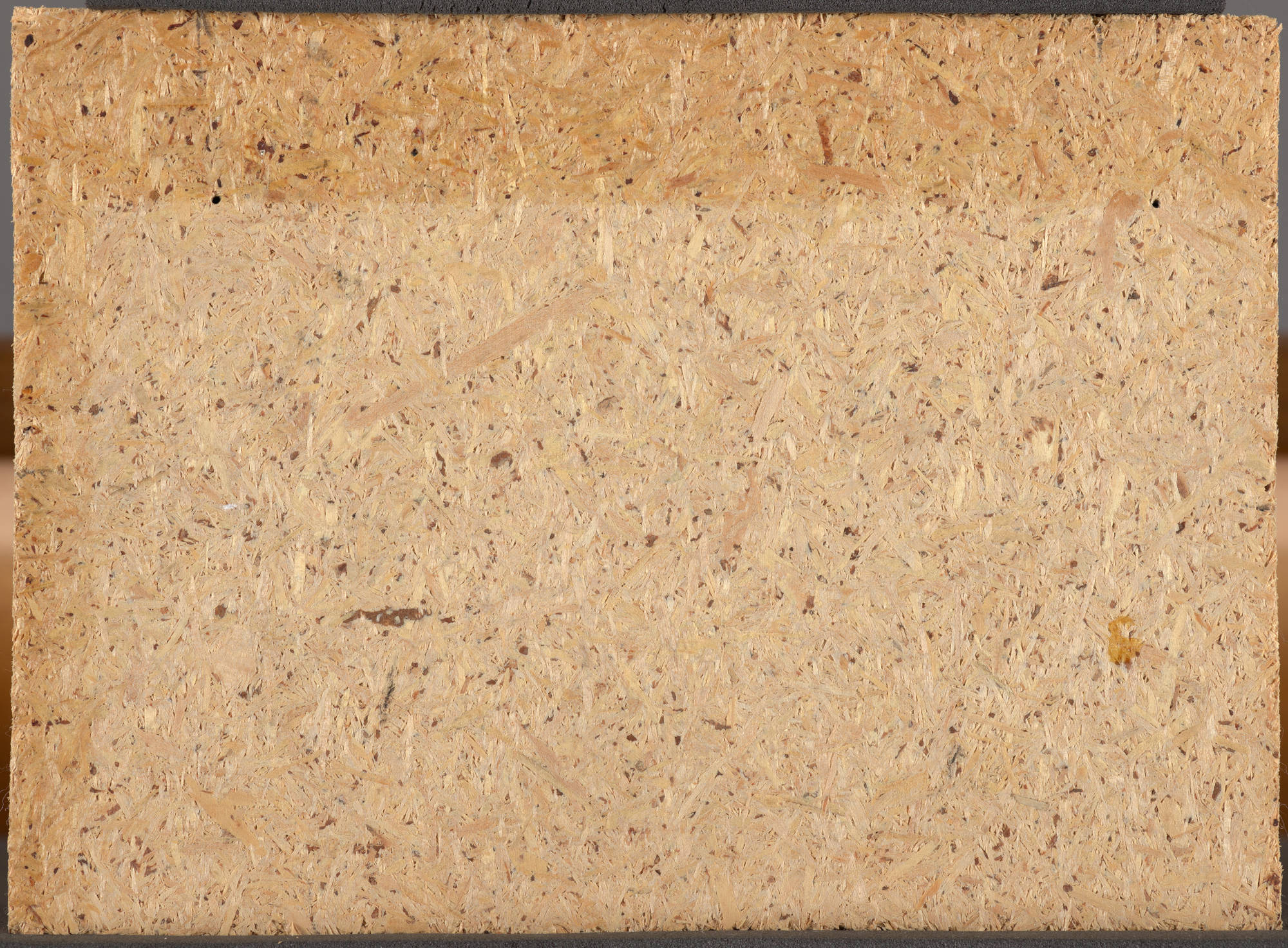 Christoffel van den Berghe  Zomerlandschap