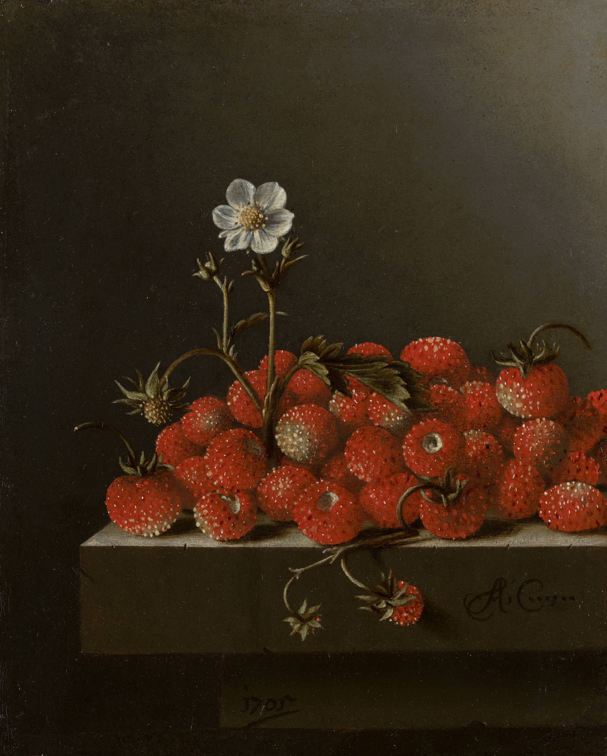 Adriaen Coorte Stilleven met bosaardbeien Still Life with Wild Strawberries
