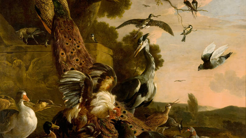Melchior d' Hondecoeter De raaf wordt beroofd van de veren waarmee hij zich had getooid The Raven Robbed of the Feathers He Wore to Adorn Himself