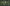 Een header van een donkergroen gordijn dat op een kier staat, daarachter zie je een oog. De tekst is in het geel: Het wonderlijke leven van Roelant Savery.