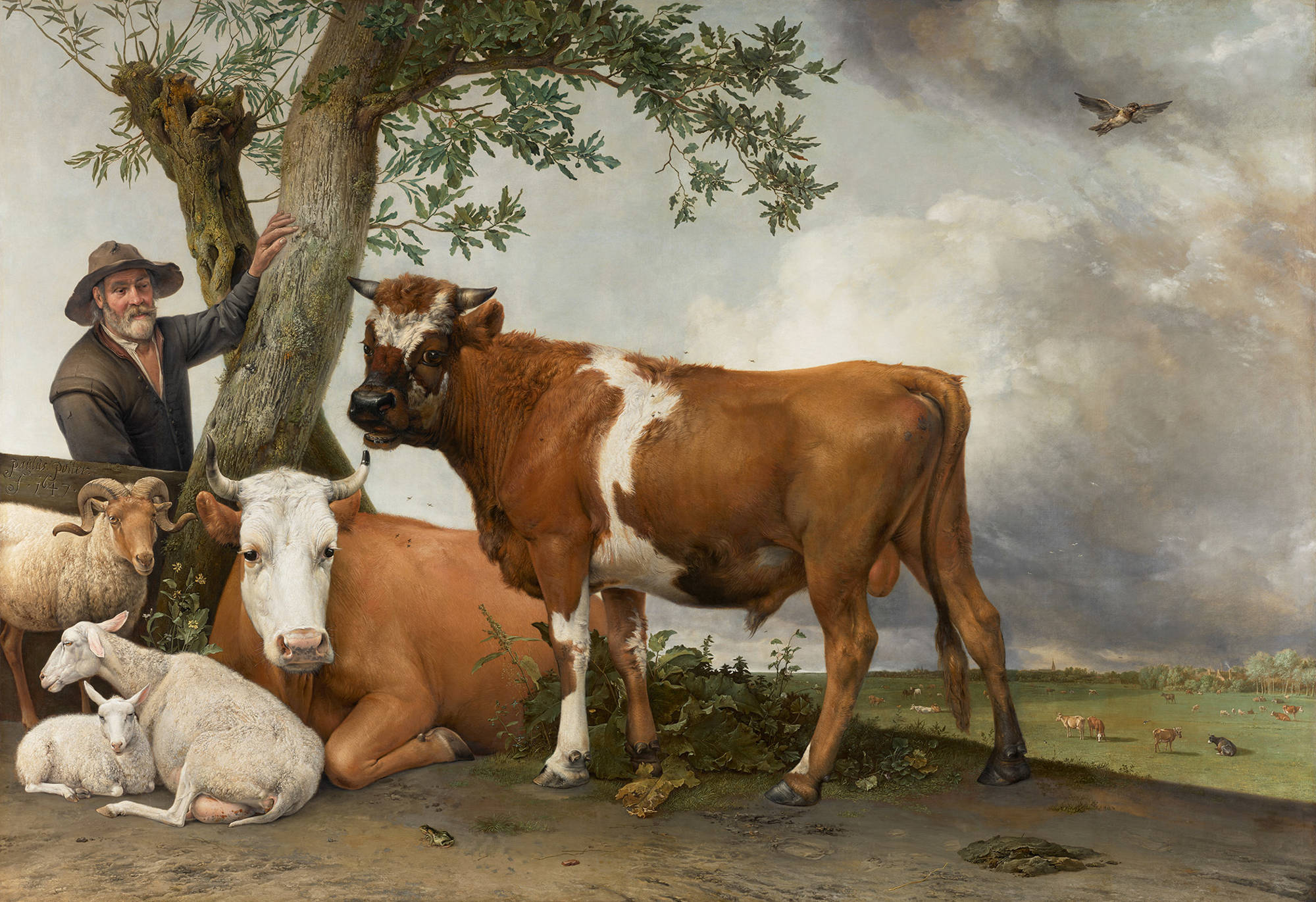 Schilderij van Paulus Potter: De stier. Je ziet een grote stier in een weiland die ons aankijkt. Links naast hem staat de boer en zien we een liggende koe, een lam bij zijn moeder en een staande ram. Potter heeft de vacht van de dieren heel zorgvuldig geschilderd. De foto is gemaakt door Rene Gerritsen.