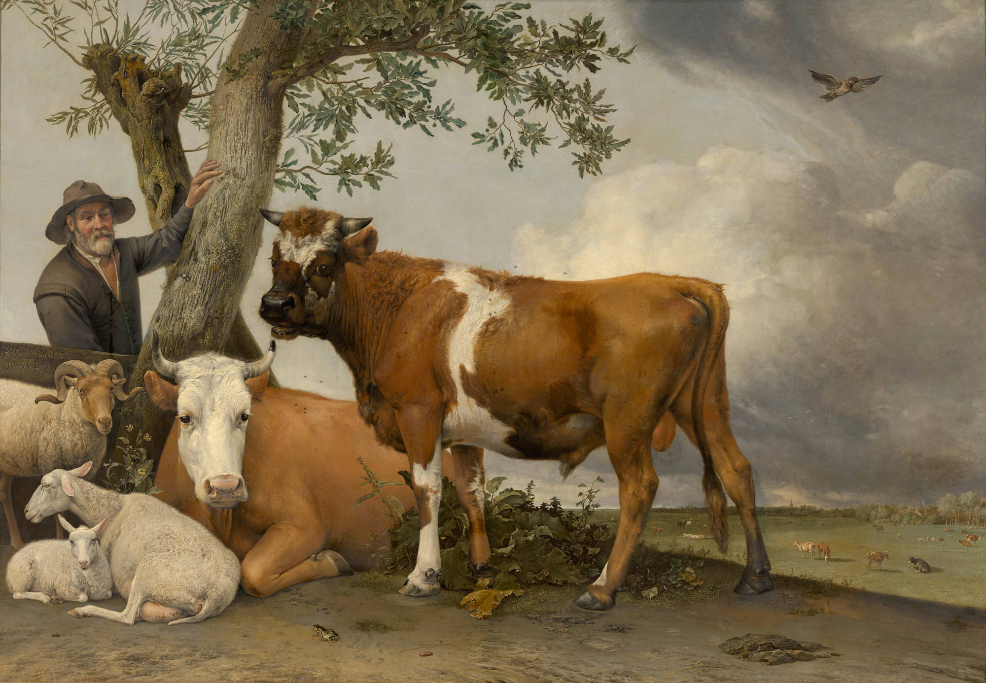 Schilderij van Paulus Potter: De stier. Je ziet een grote stier in een weiland die ons aankijkt. Links naast hem staat de boer en zien we een liggende koe, een lam bij zijn moeder en een staande ram. Potter heeft de vacht van de dieren heel zorgvuldig geschilderd.