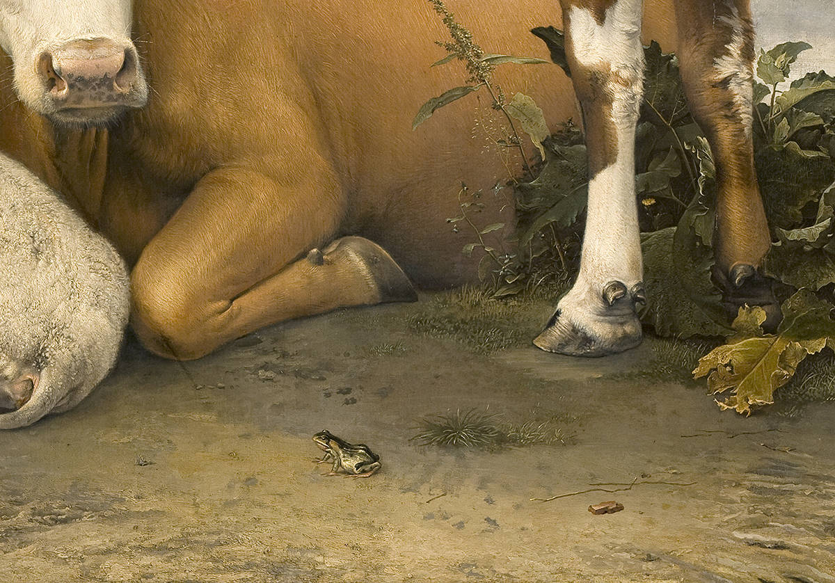 Detail van de kikker op het schilderij De stier van Paulus Potter uit het Mauritshuis in Den Haag