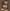 Salomon van Ruysdael  Meergezicht met zeilschepen