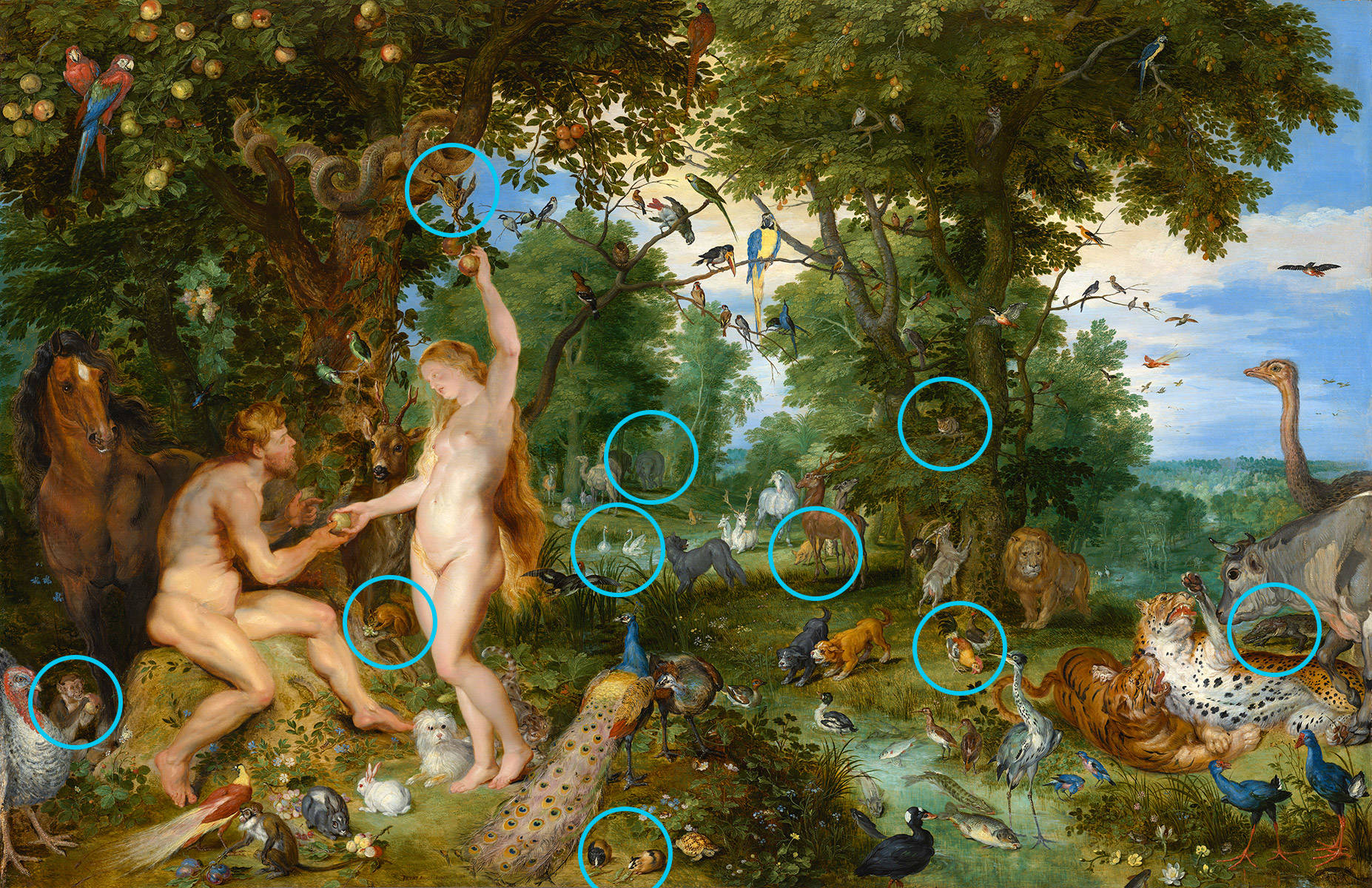 De antwoorden van de zoekplaats van 'Het aardse paradijs' van Rubens en Breughel