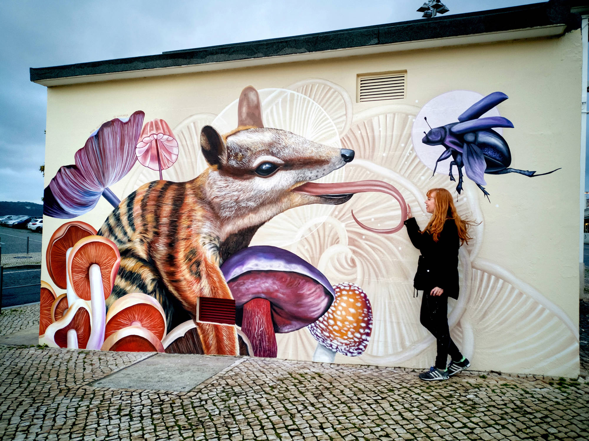 Nina Valkhoff Numbat In Mushroom Forest Lissabon Portugal