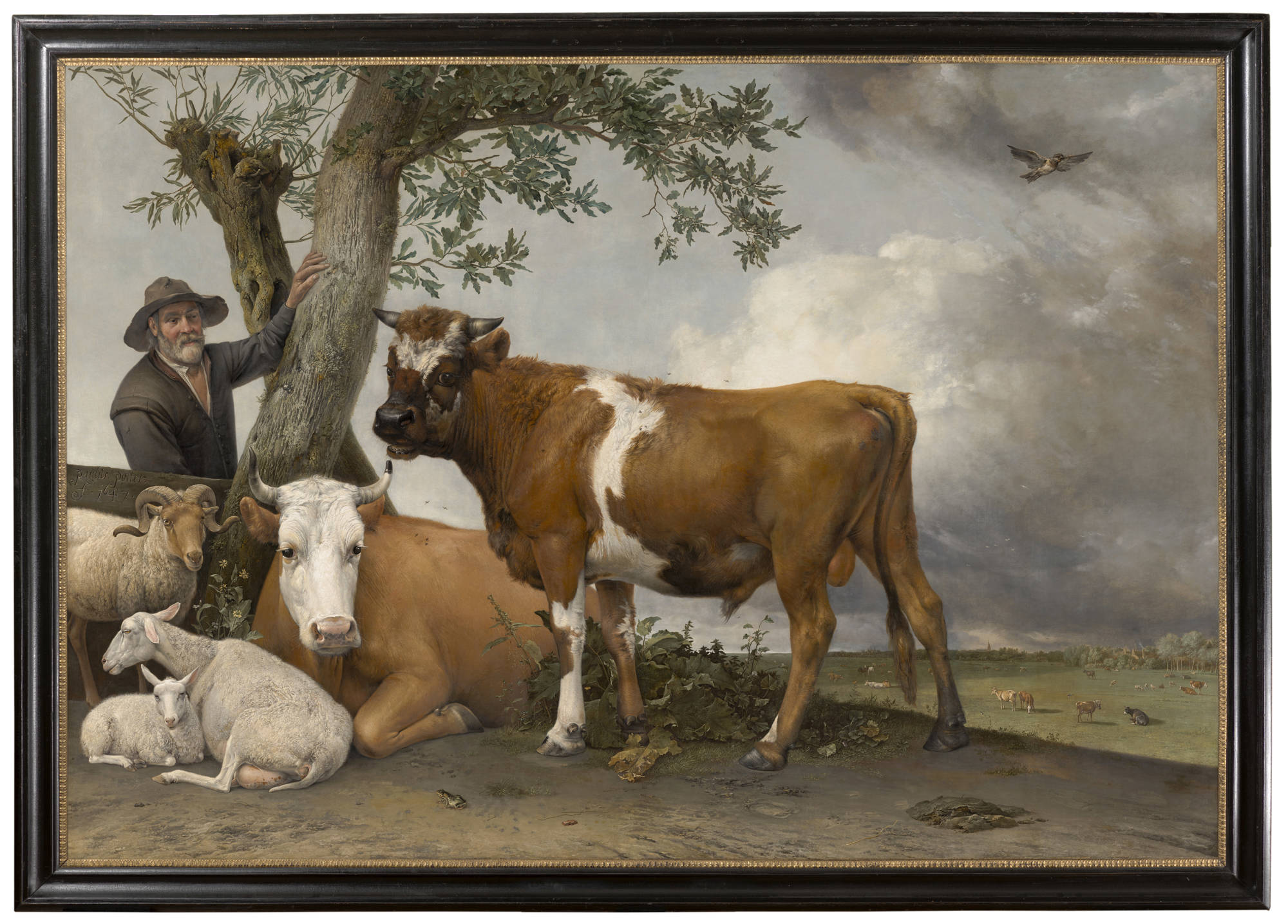 Paulus Potter De stier The Bull