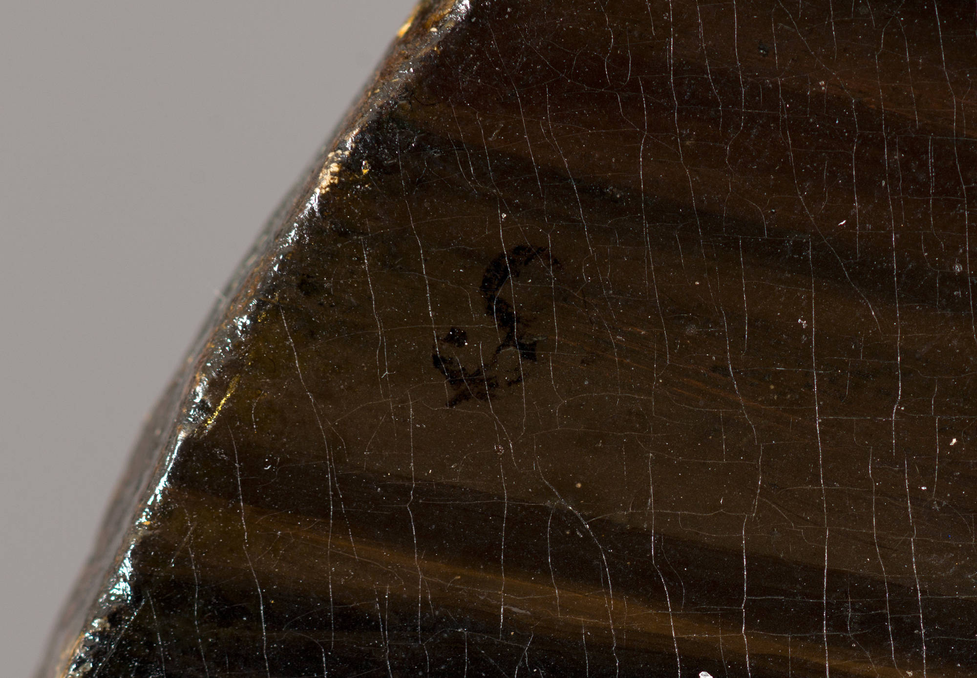 Jan Steen  ‘Het oestereetstertje’ Girl Eating Oysters