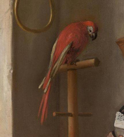 Soo voer gesongen, soo na gepepen - papegaai