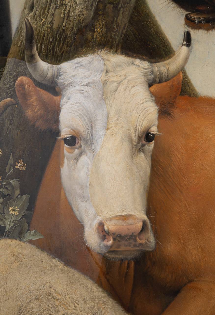 Kop van de koe tijdens de vernisafname. De linkerkant, waar het vernis is verwijderd, is veel witter.