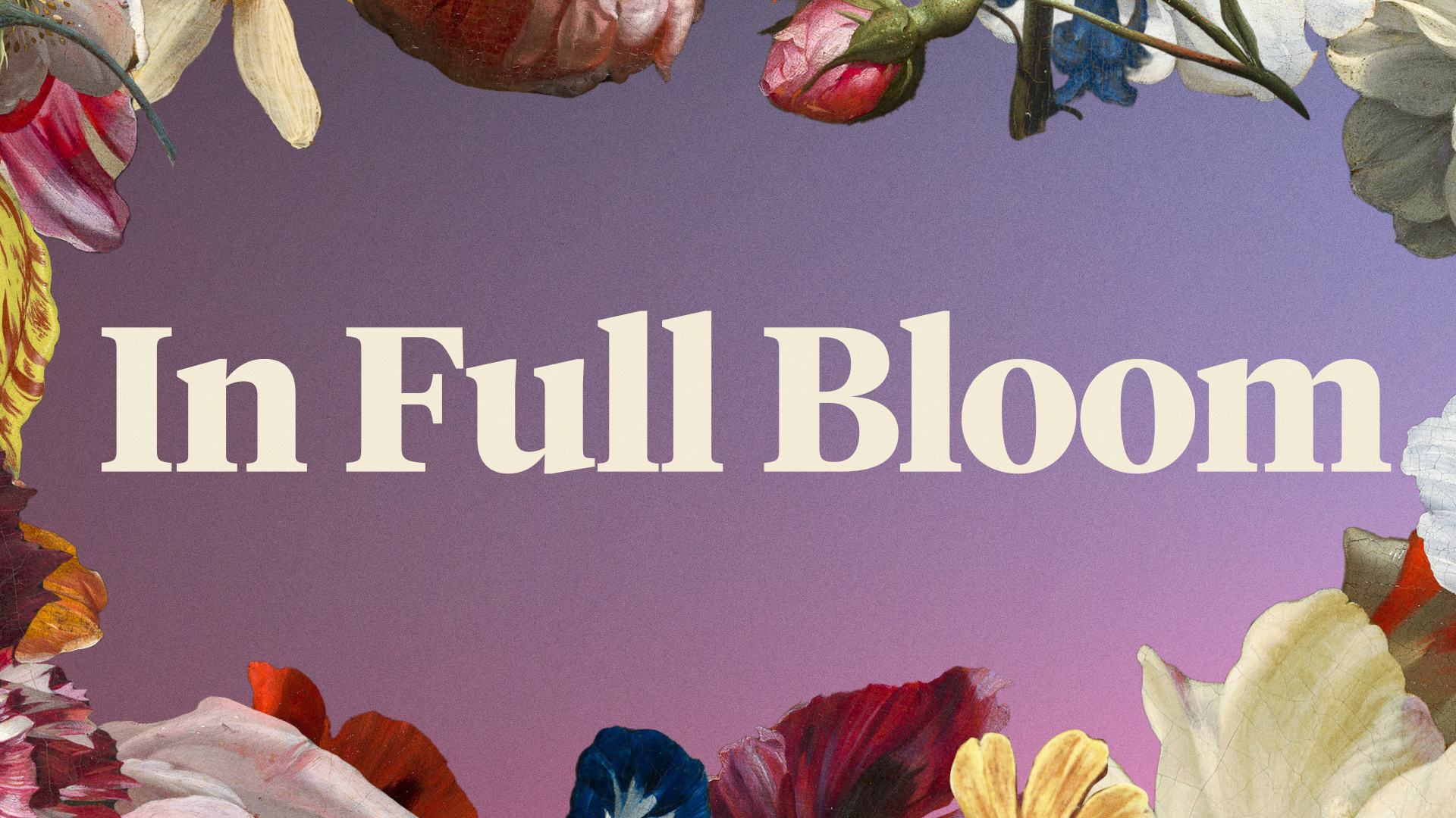 Tentoonstelling In Full Bloom Mauritshuis Den Haag Mauritshuis