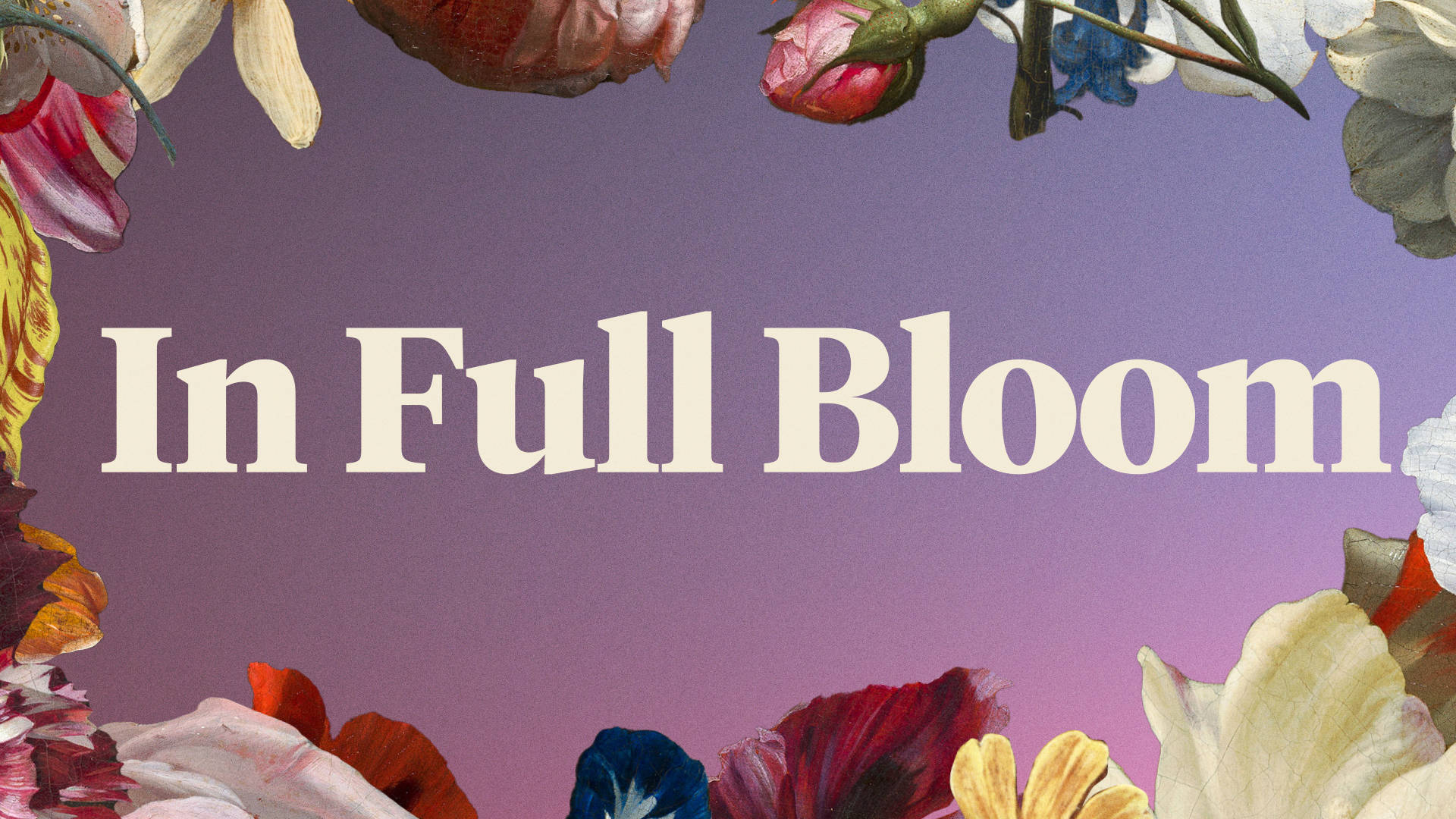 Mauritshuis exhibition In Full Bloom Video