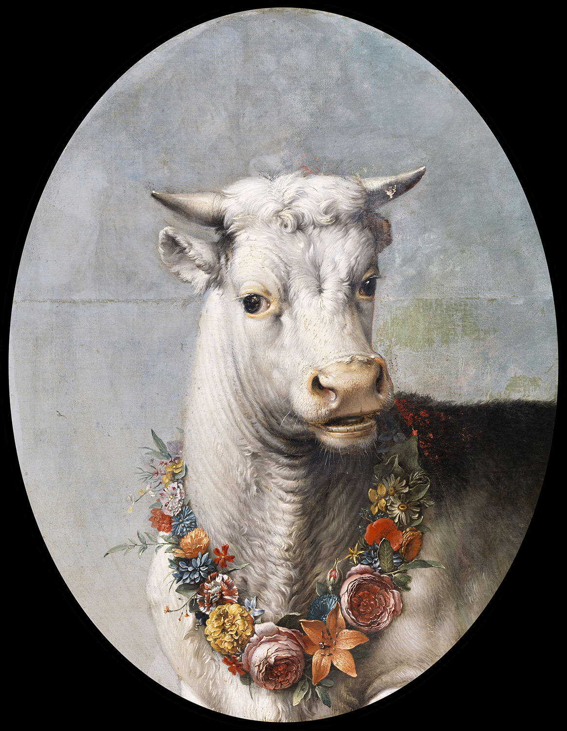 Paulus Potter, Kop van een witte stier, c. 1643-47