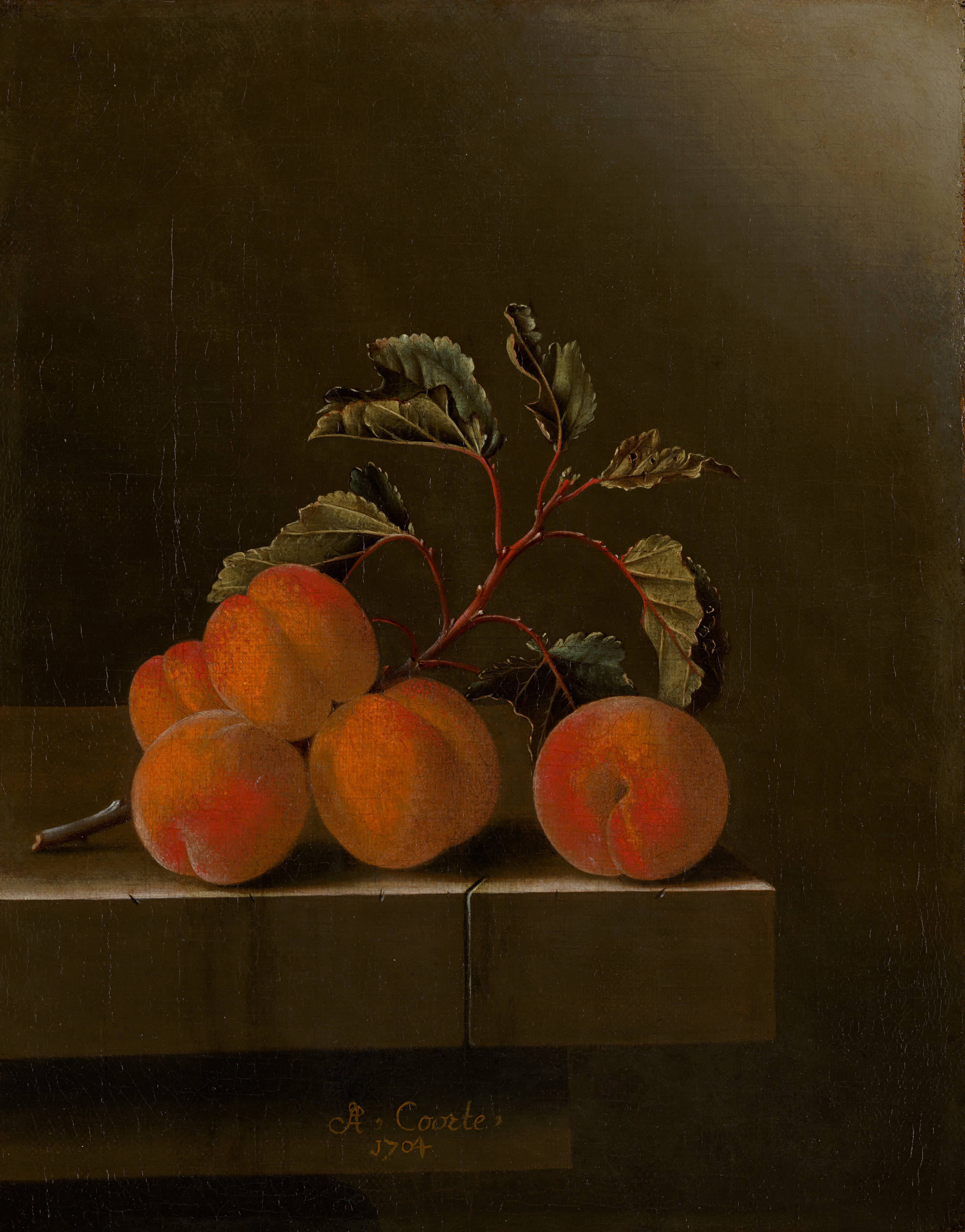 Adriaen Coorte Stilleven met vijf abrikozen Still Life with Five Apricots