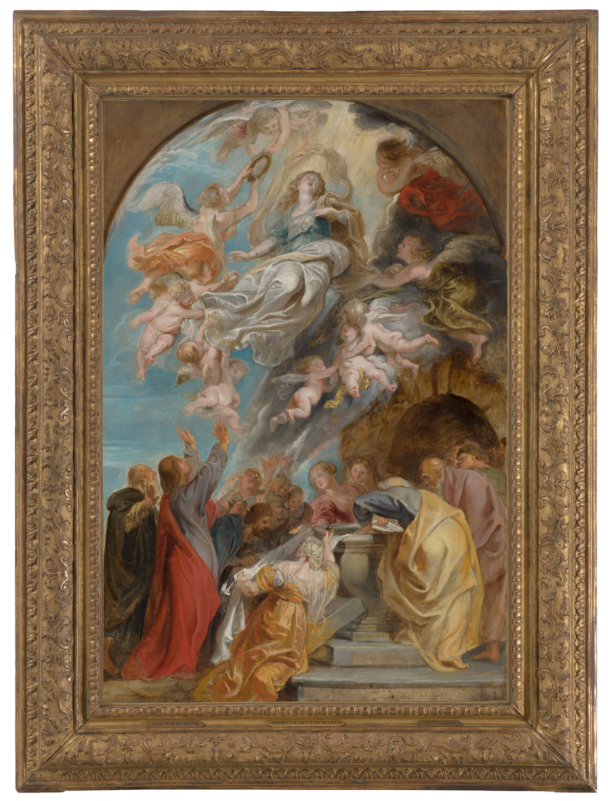 Peter Paul Rubens  'Modello' voor de Hemelvaart van Maria 'Modello' for the Ascension of the Virgin
