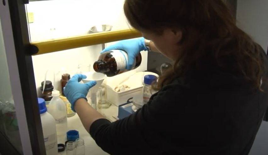 Restauratie Jan Steen Mauritshuis Den Haag