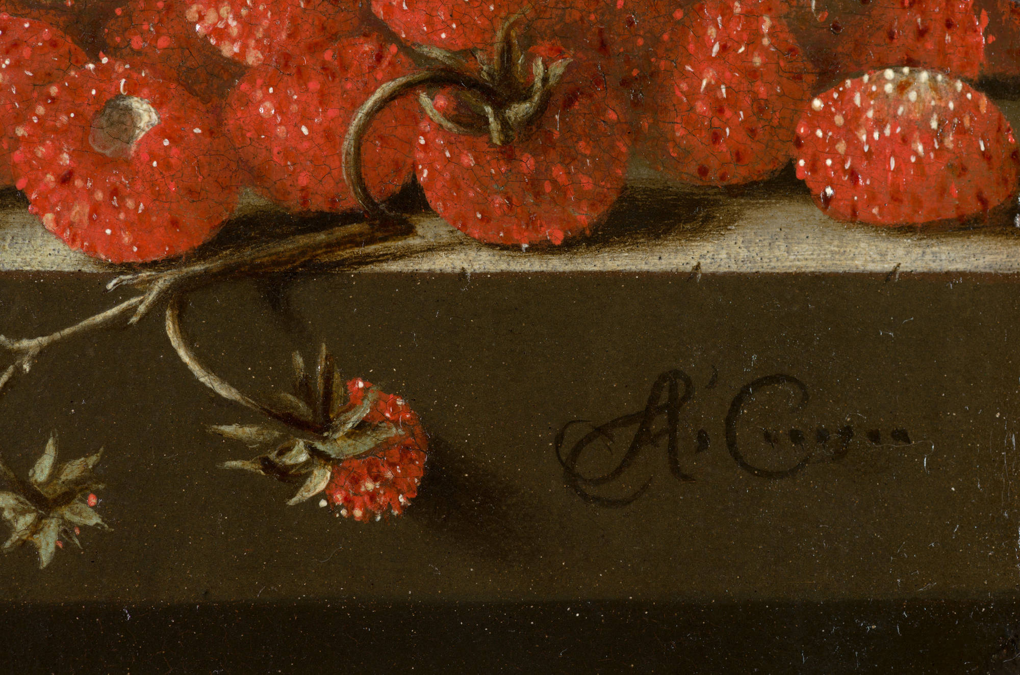 Adriaen Coorte  Stilleven met bosaardbeien Still Life with Wild Strawberries