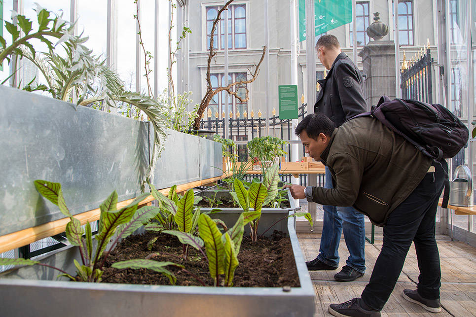 Kas op het voorplein