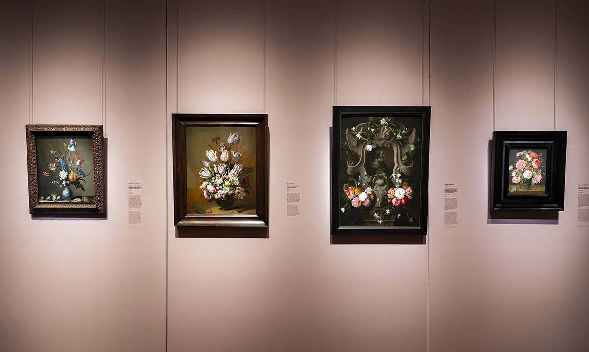 Mauritshuis Tentoonstelling In Volle Bloei Zaalfoto 3
