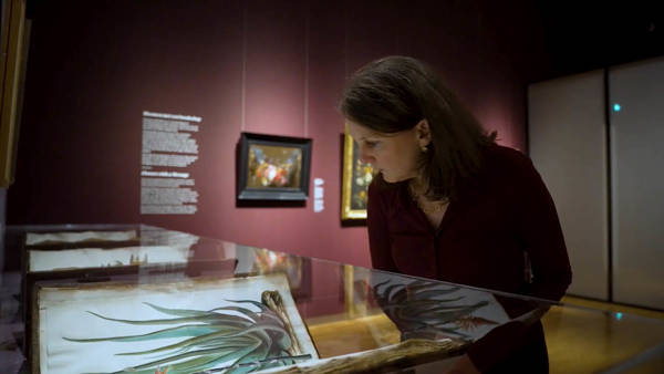 Ariane Van Suchtelen, Conservator Mauritshuis, In De Tentoonstelling In Volle Bloei