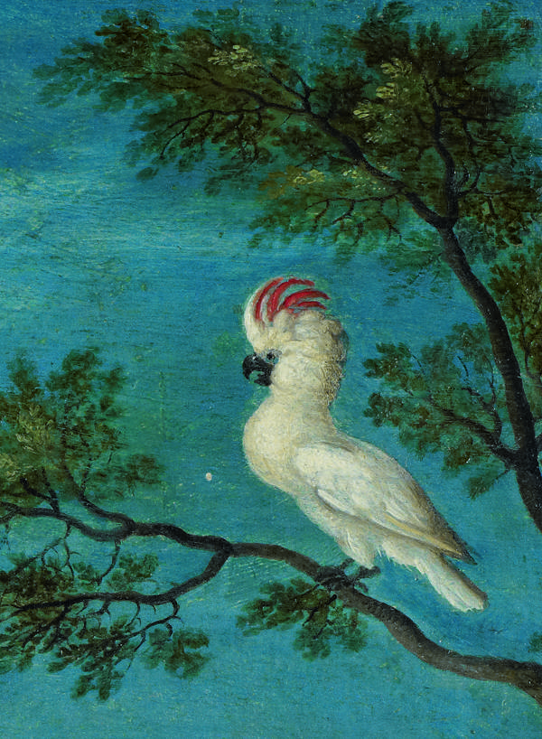 Een detail van een kaketoe, uit het schilderij Twee paarden en twee stalknechten van Roelant Savery.