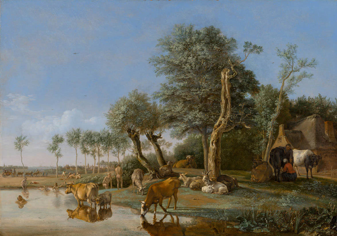 Het schilderij Het spiegelende koetje van Paulus Potter.