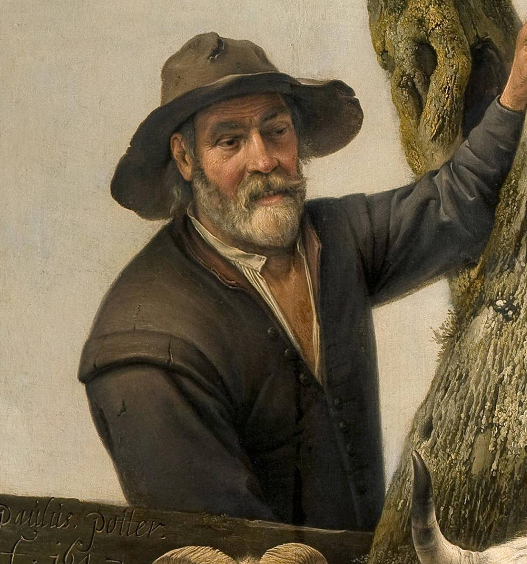 Potter De Stier Detail Second Canvas