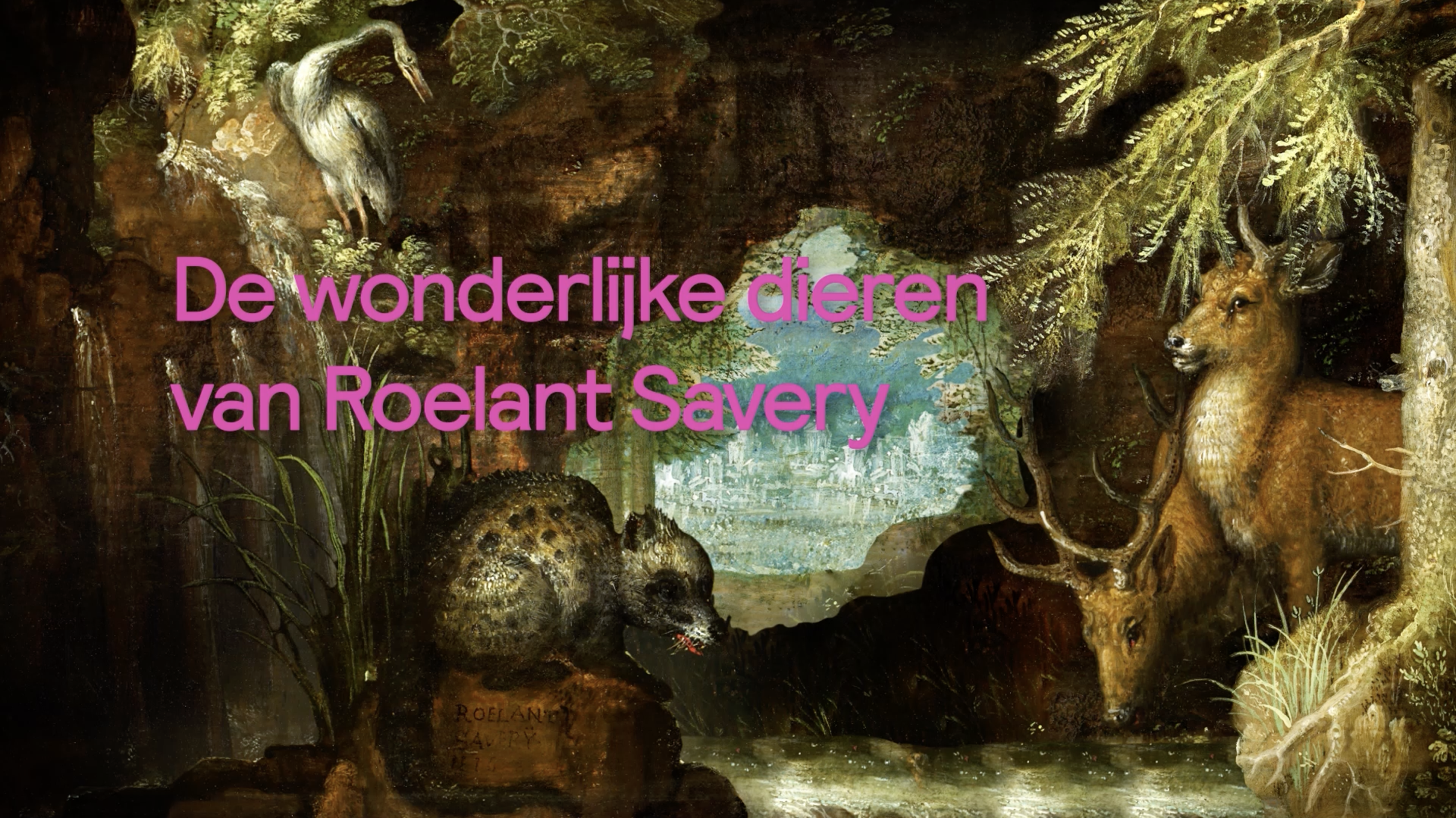Een header met de tekst: 'De wonderlijke dieren van Roelant Savery'. Op de achtergrond een detail van een schilderij met dieren.